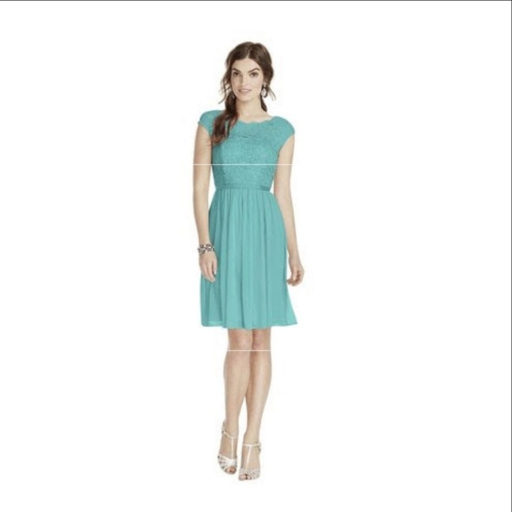 David's Bridal Lace Bridesmaid Dress • F17019 SPA